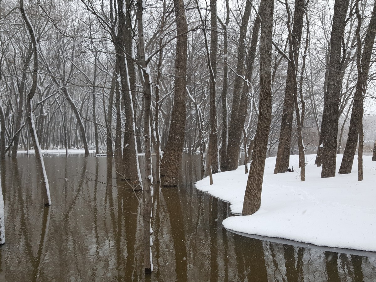 Dissonance and a Trip to the Grocery&nbsp;Store