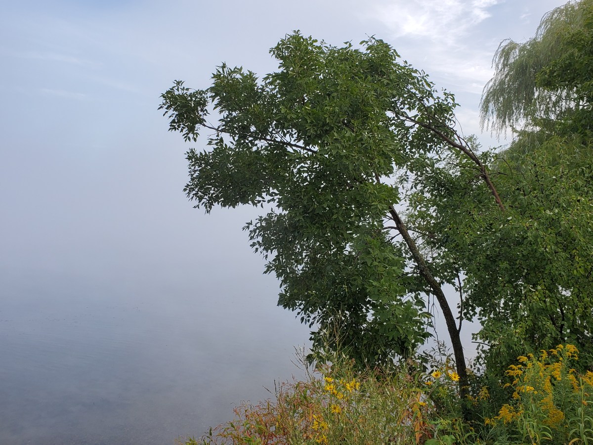 When People Speak Poorly About&nbsp;Themselves