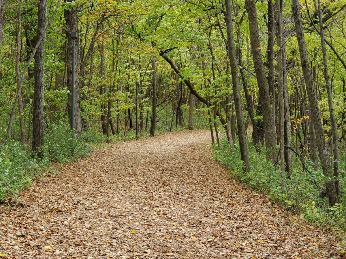 Leaders, Treat Your People Well&nbsp;Because…