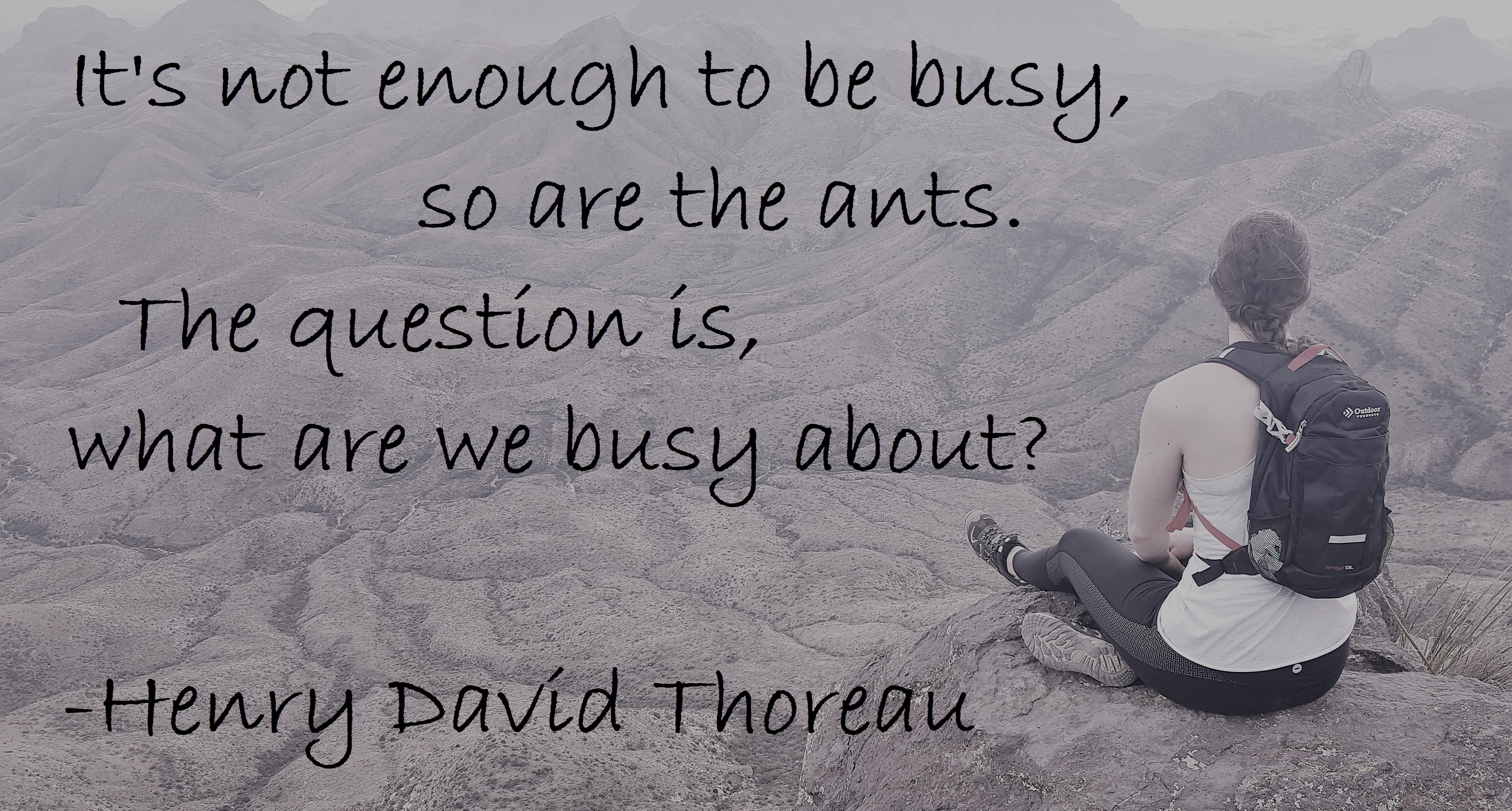 Henry David Thoreau - Not enough to be busy