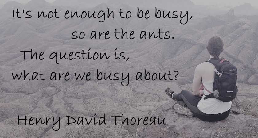 Henry David Thoreau - Not enough to be busy