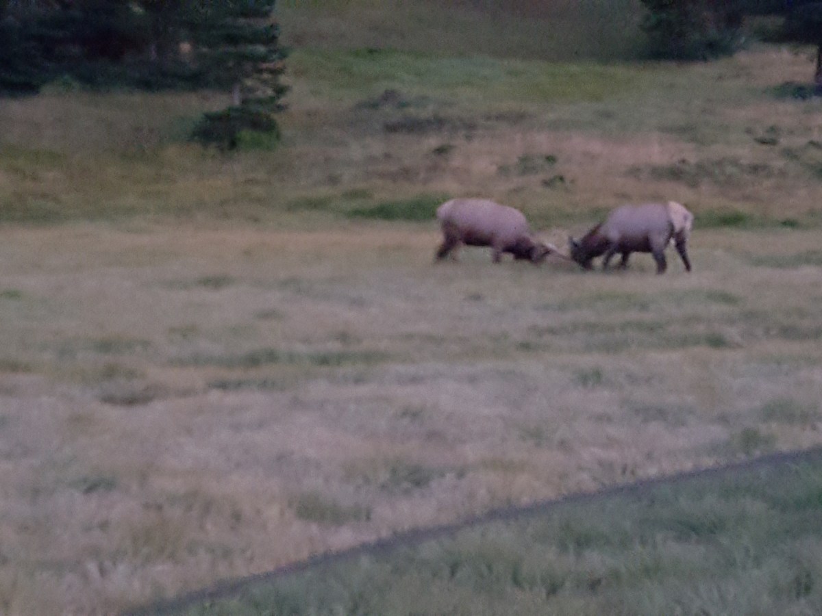 Need Someone to Change? 5 Things to&nbsp;Know