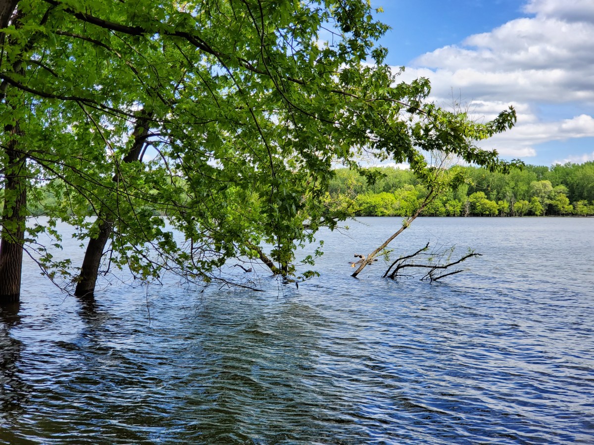 You won’t get today&nbsp;again