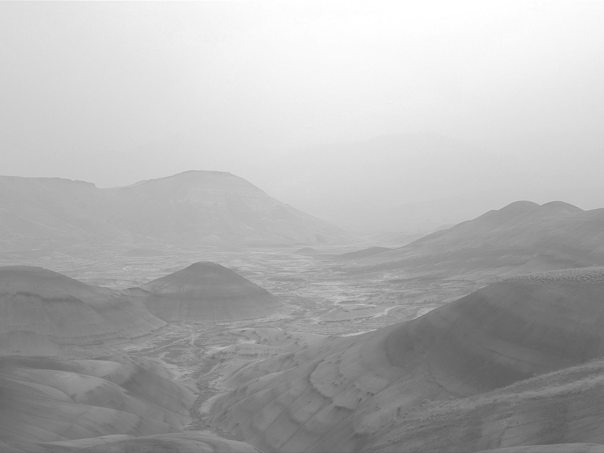 When in conflict: 1 question you HAVE to&nbsp;answer