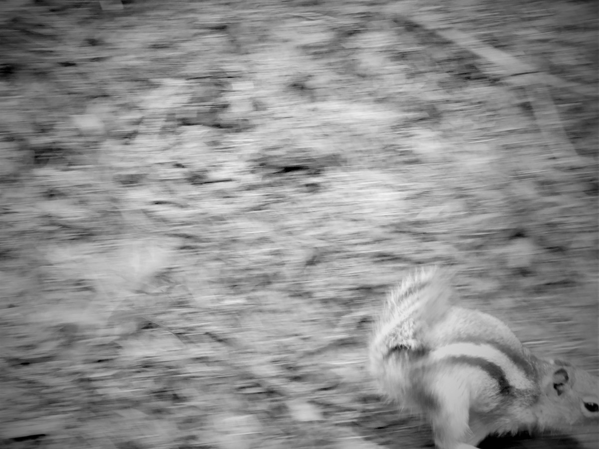 3 Unique Suggestions for Connecting&nbsp;Deeply