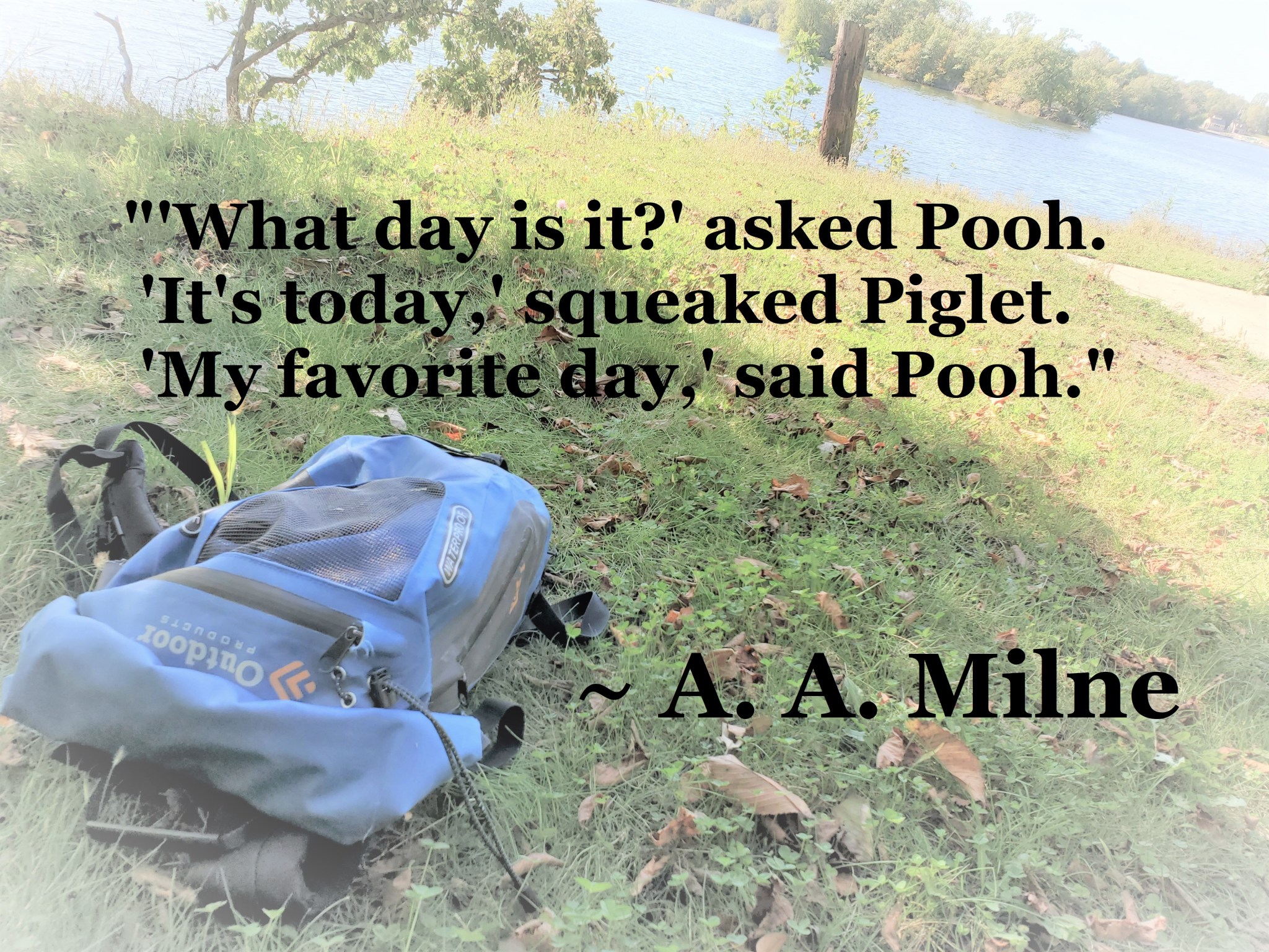 A A Milne - My Favorite Day