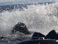 Letting the waves do their&nbsp;thing