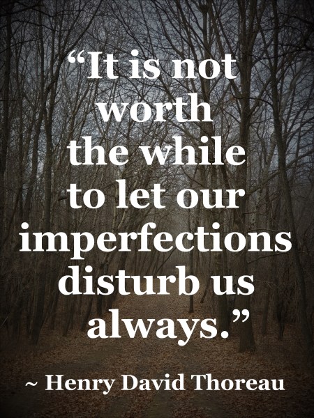 Henry David Thoreau - not worth while to let our imperfections disturb us always