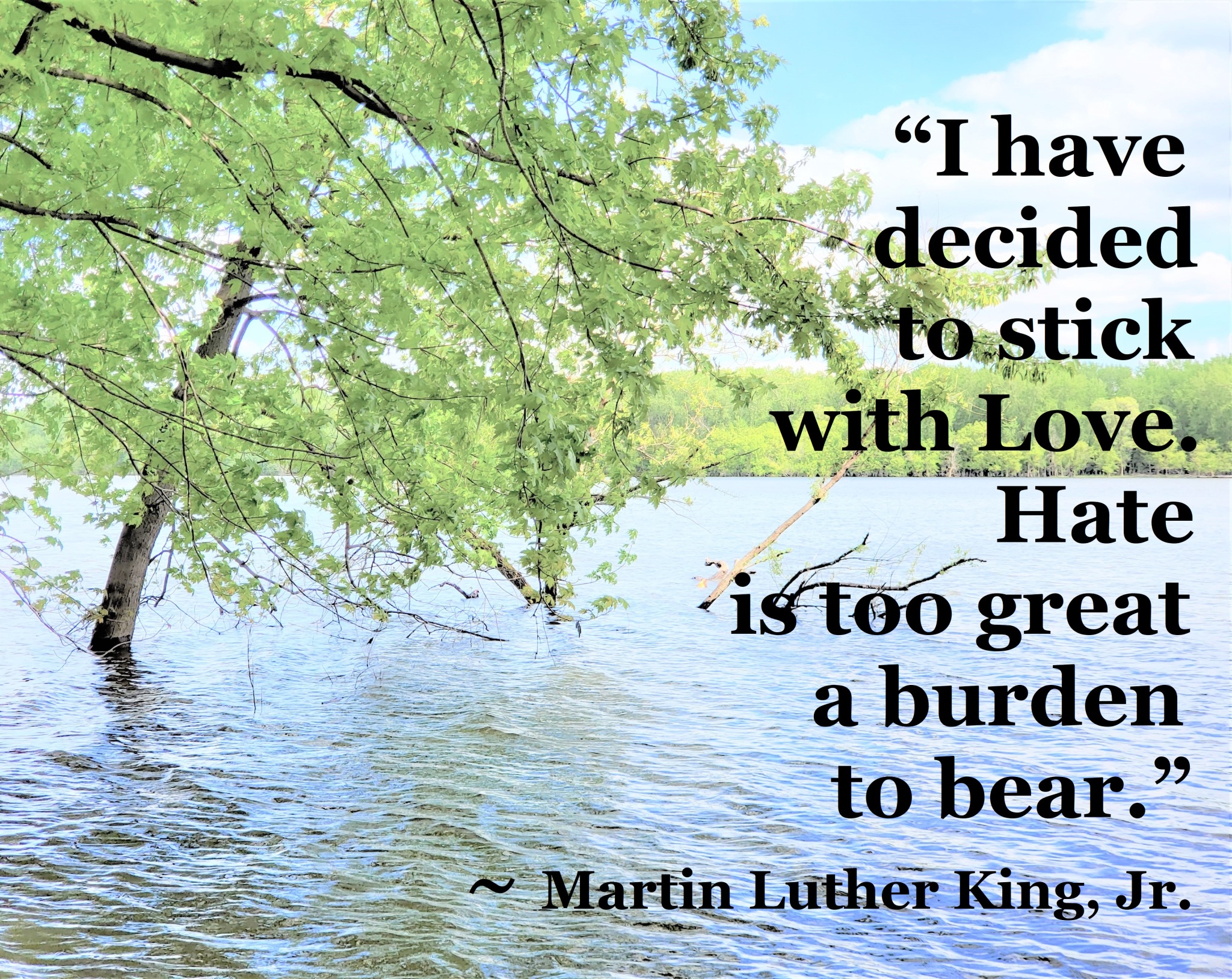 Martin Luther King Jr - stick with love hate too great a burden