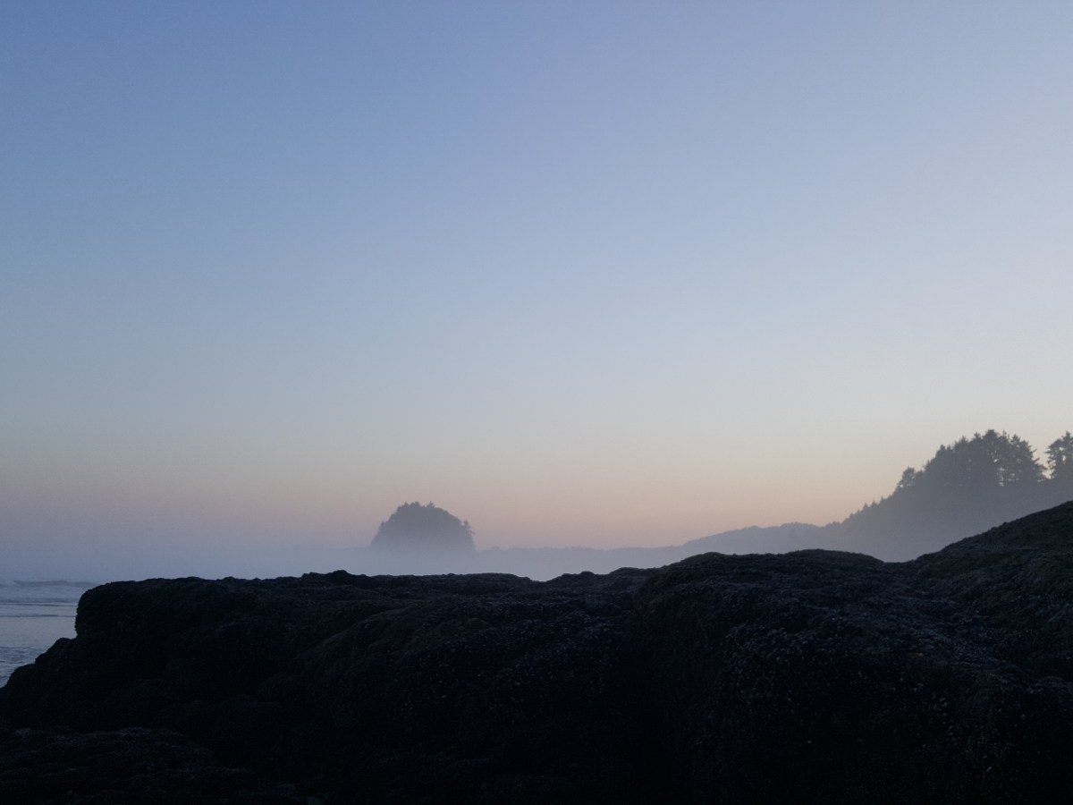 Why nobody can hear the alarm anymore, and what you and I can do about it&nbsp;today