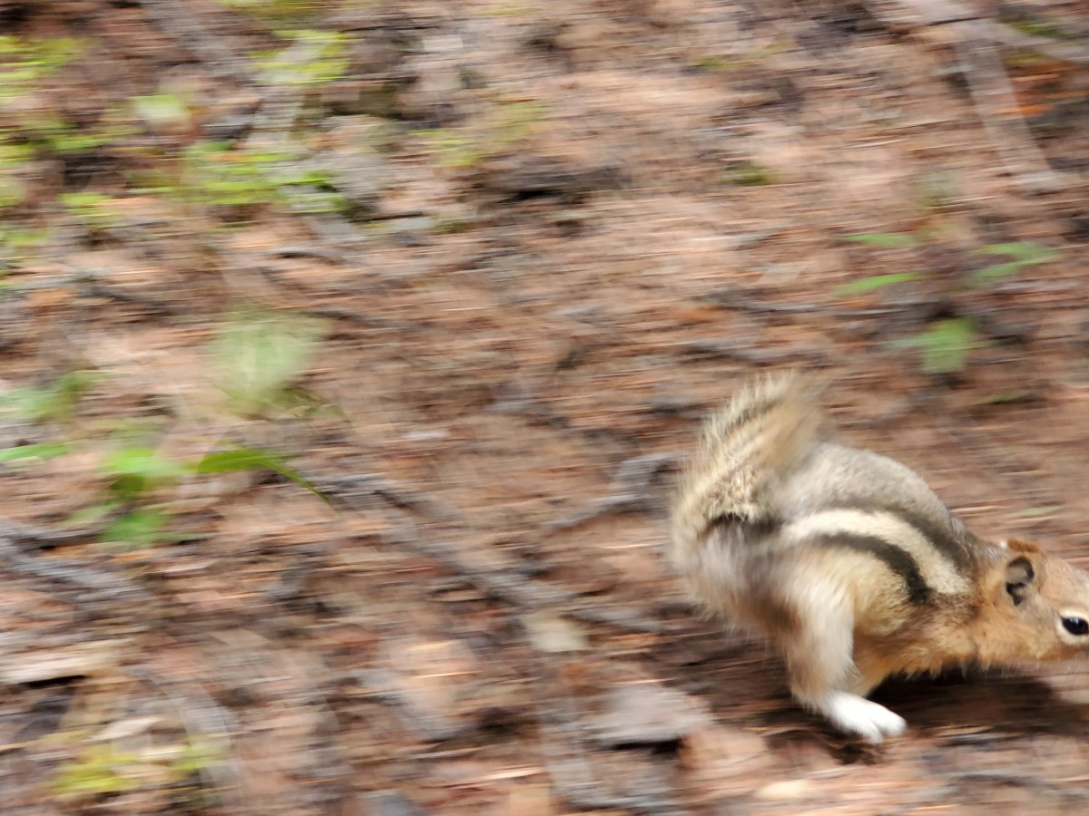 Cut yourself some slack, it’s just how brains&nbsp;work