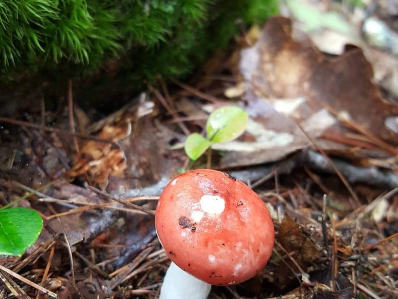 Noticing this moment