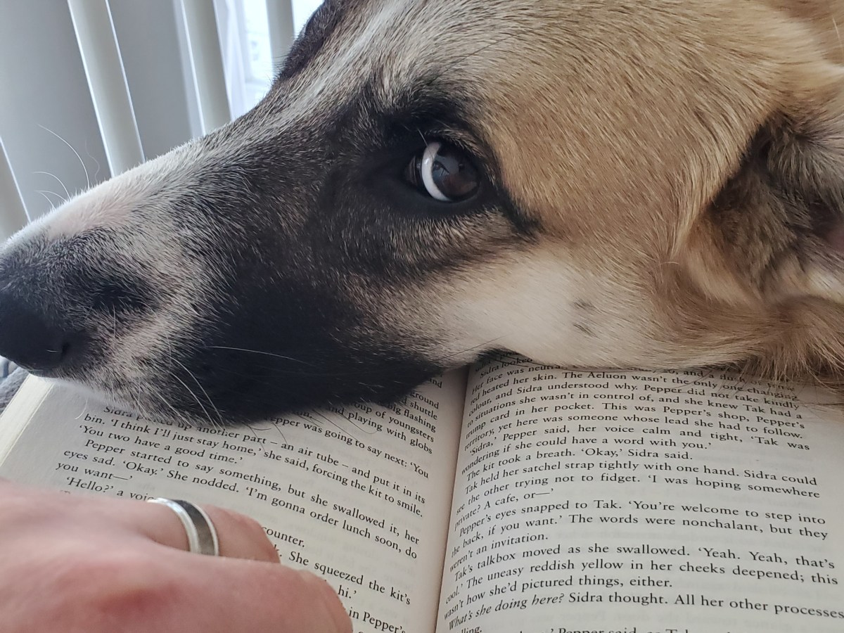 The not good enough&nbsp;thing