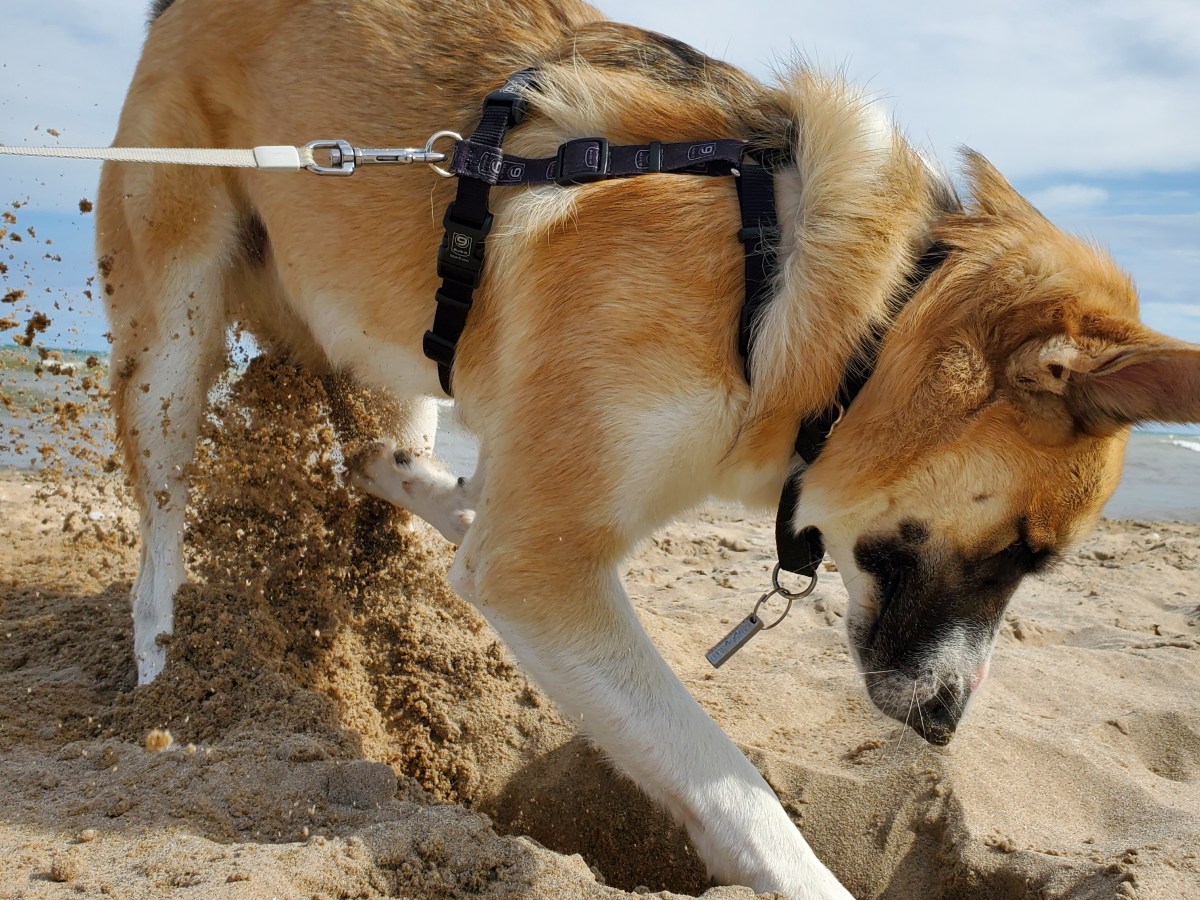 We made that&nbsp;up