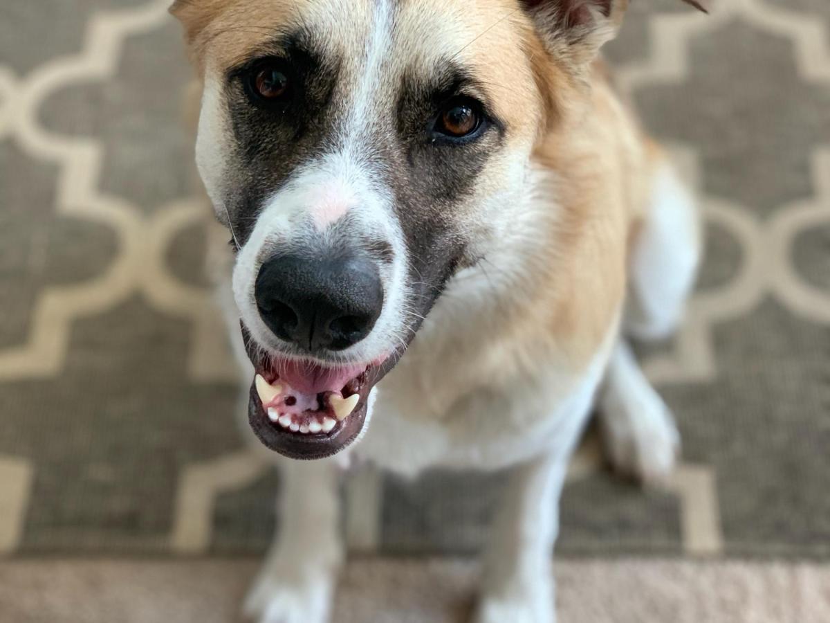 Awkwardly shamelessly human